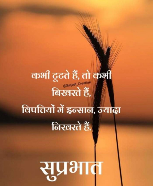 Gujarati Whatsapp-Status by Zala Jayvirsinh : 111903437