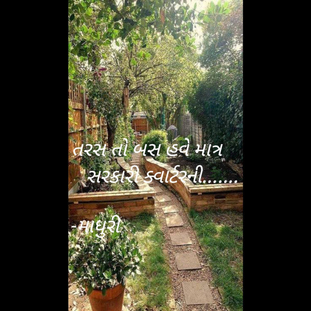 Gujarati Blog by માધુરી : 111903459