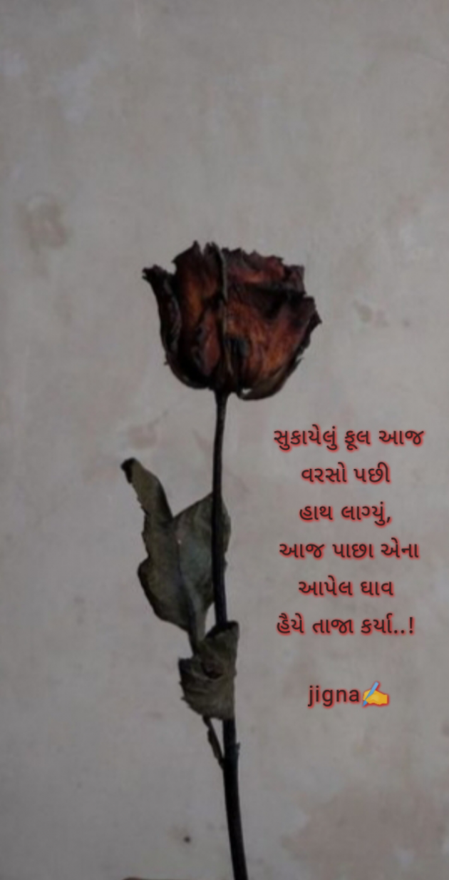 Gujarati Blog by Jigna Pandya : 111903499