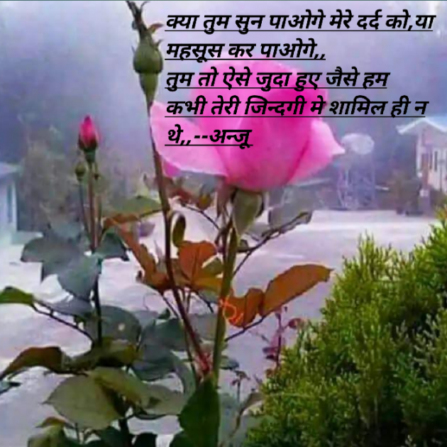 Hindi Shayri by Anju Kumari : 111903625