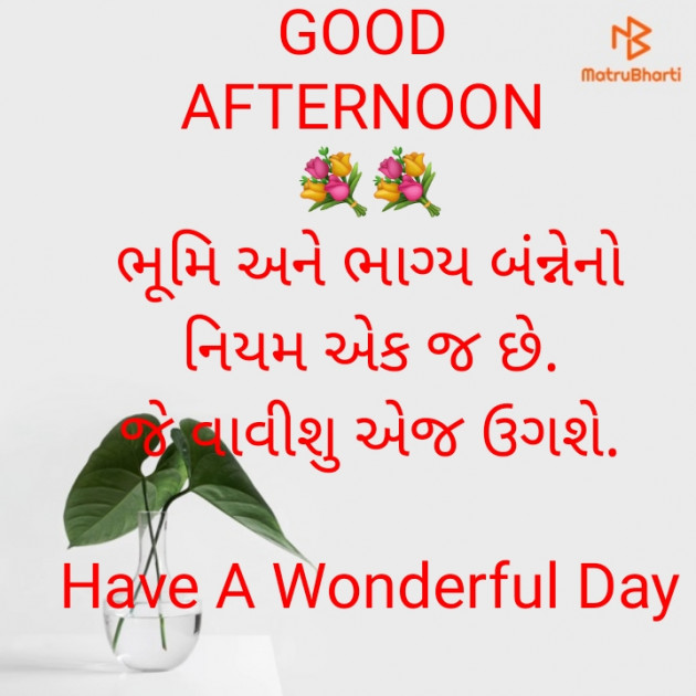 Gujarati Thought by jighnasa solanki : 111903914