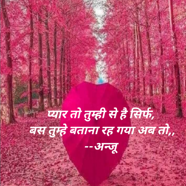 Hindi Shayri by Anju Kumari : 111904102