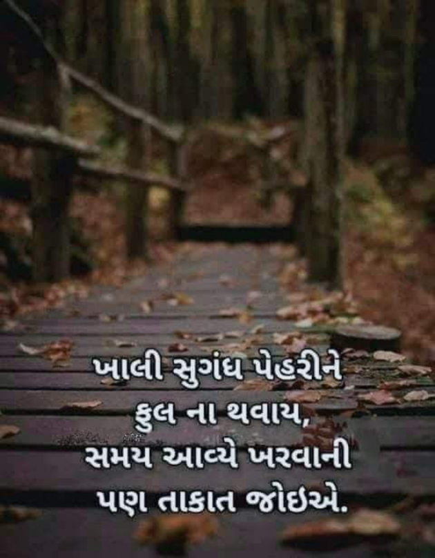 Gujarati Good Morning by Mona Ghelani : 111905490