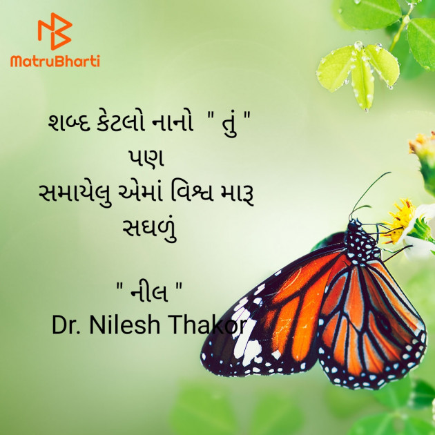 Gujarati Shayri by Dr. Nilesh Thakor : 111905842