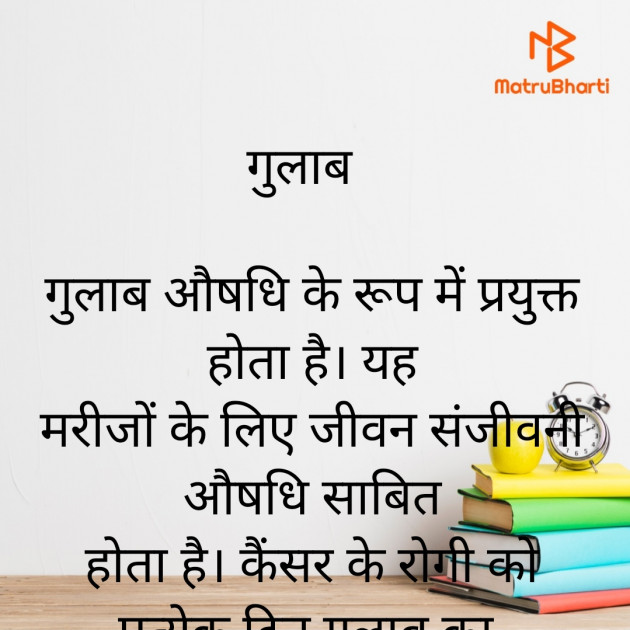 Hindi Motivational by Anita Sinha : 111905846