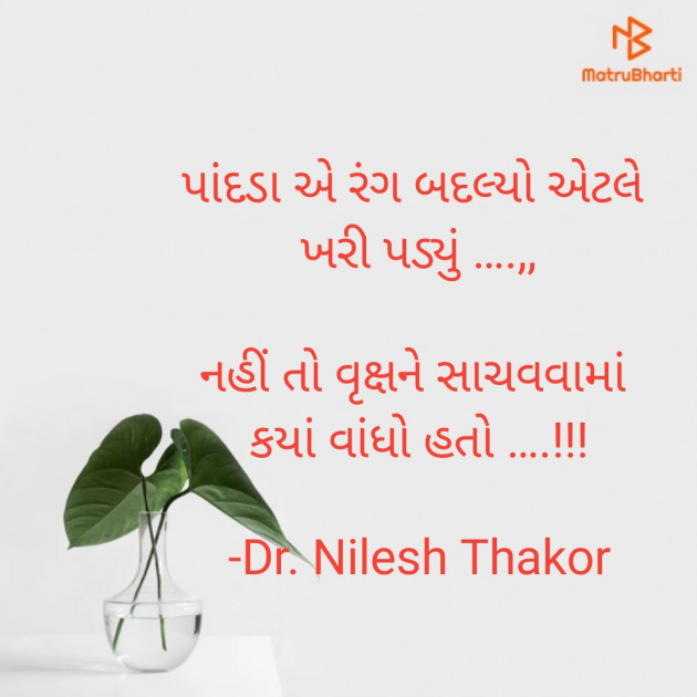 Gujarati Shayri by Dr. Nilesh Thakor : 111905944