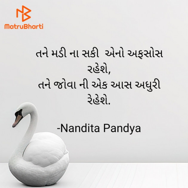 Gujarati Shayri by Nandita Pandya : 111905992