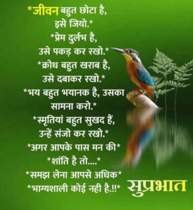 English Blog by Arya Tiwari : 111906098