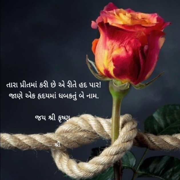 Gujarati Whatsapp-Status by Gor Dimpal Manish : 111906444