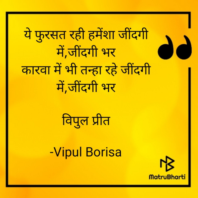 Hindi Shayri by Vipul Borisa : 111906594