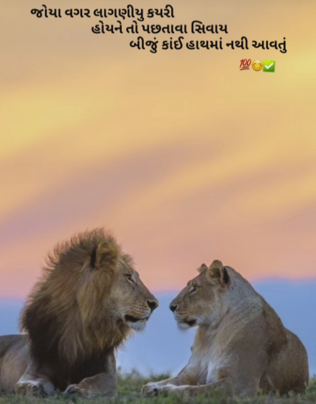 Gujarati Blog by Jigna Pandya : 111907323