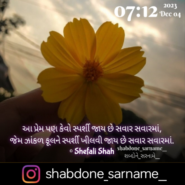 Gujarati Whatsapp-Status by Shefali : 111907579