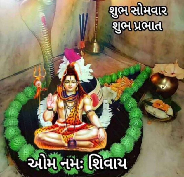 Gujarati Whatsapp-Status by Zala Jayvirsinh : 111907599