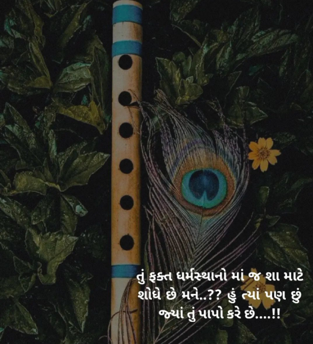 Gujarati Blog by Navnit Solanki : 111907679