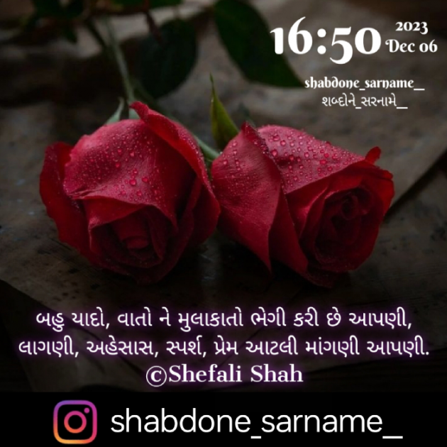 Gujarati Whatsapp-Status by Shefali : 111907913