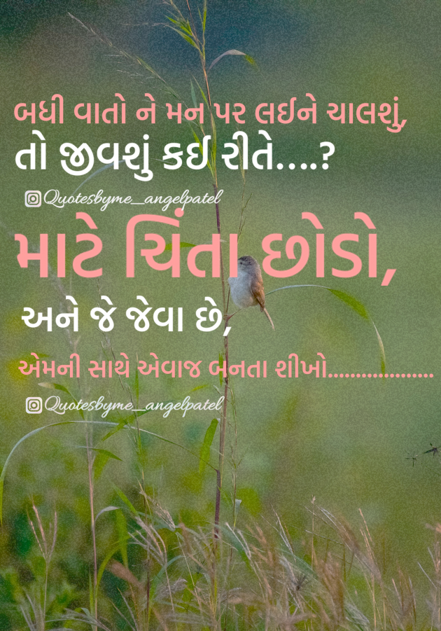 Gujarati Quotes by Ankita Patel : 111908198