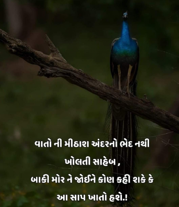 Gujarati Motivational by Bipin Ramani : 111908499