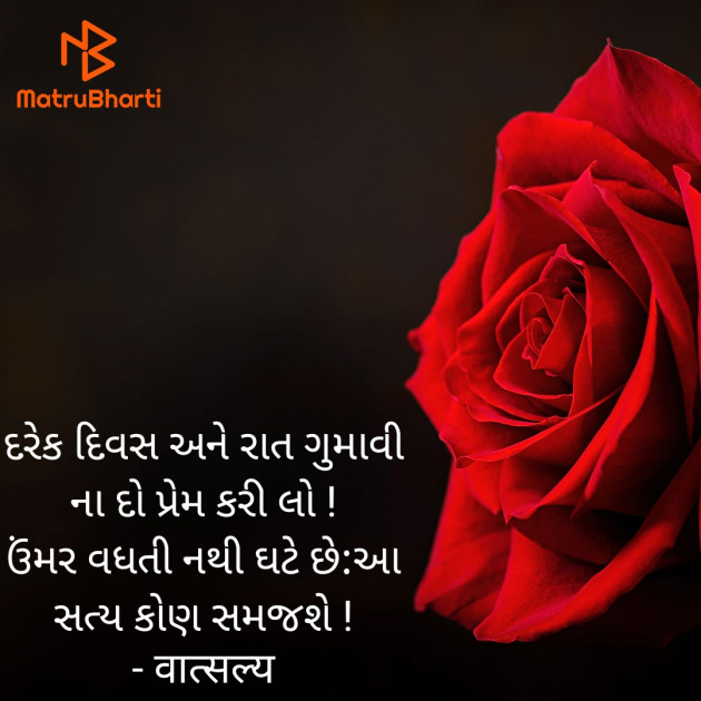 Gujarati Shayri by वात्सल्य : 111908391