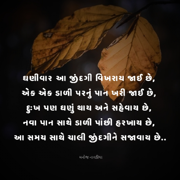 Gujarati Motivational by મનોજ નાવડીયા : 111908665