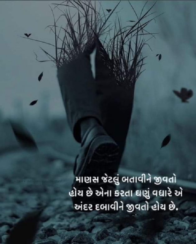 Gujarati Good Night by Bipin Ramani : 111908765