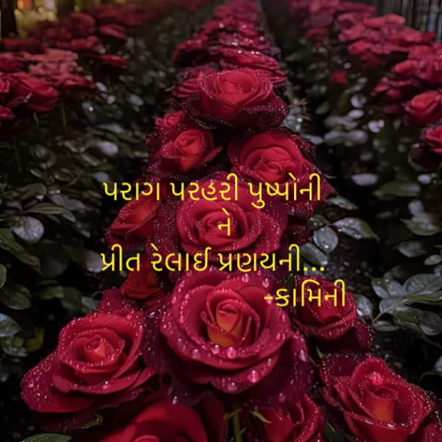 Gujarati Poem by Kamini Shah : 111908823