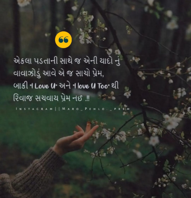 Gujarati Romance by Navnit Solanki : 111908843