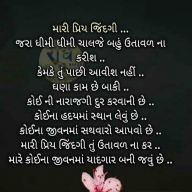 Gujarati Shayri by Krishna Rajput : 111908846