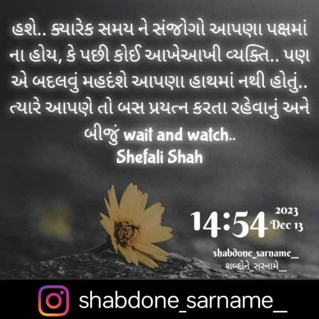 Gujarati Whatsapp-Status by Shefali : 111908923