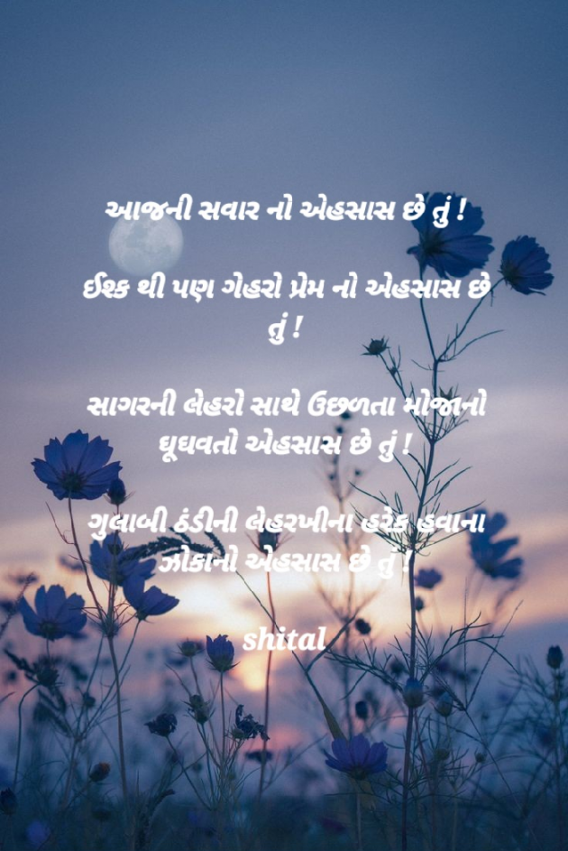 Gujarati Shayri by Shital : 111908941