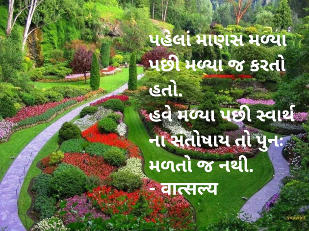 Gujarati Quotes by वात्सल्य : 111909335