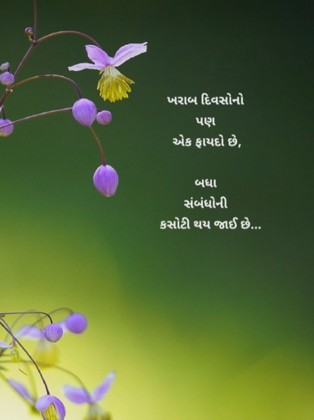 Gujarati Whatsapp-Status by Jigna Pandya : 111909543