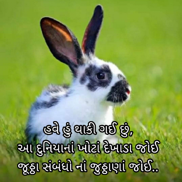 Gujarati Blog by Bhavna Bhatt : 111909783