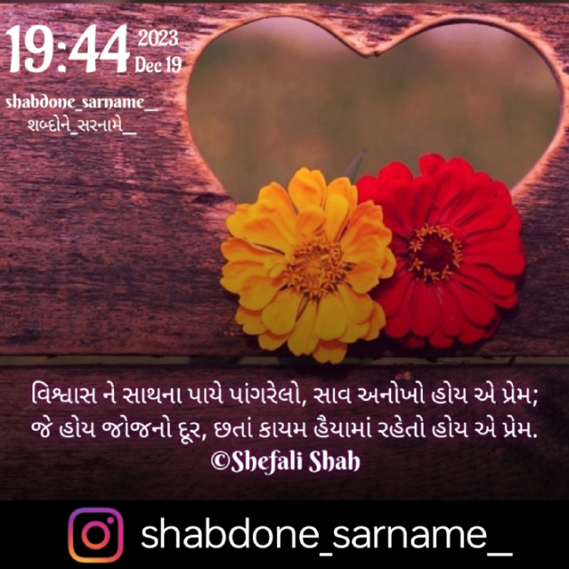 Gujarati Whatsapp-Status by Shefali : 111909870