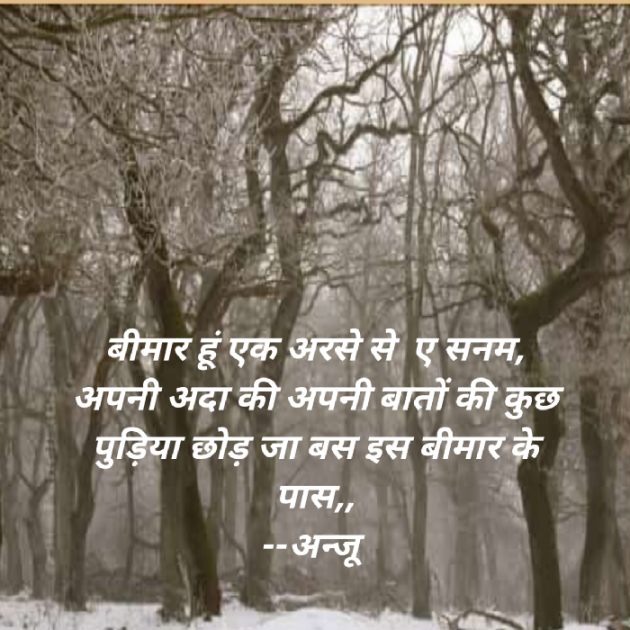 Hindi Shayri by Anju Kumari : 111910235