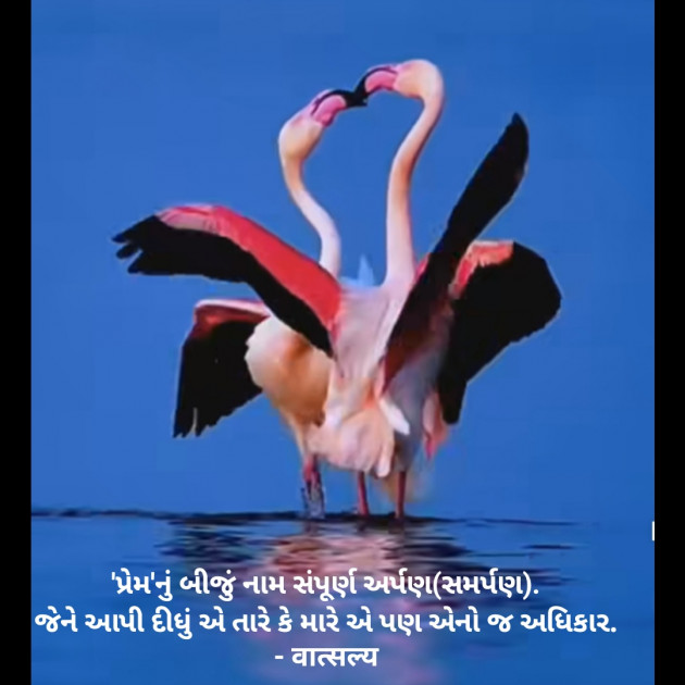 Gujarati Romance by वात्सल्य : 111910327