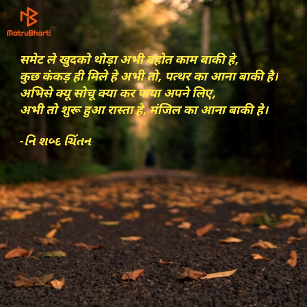 Hindi Shayri by નિ શબ્દ ચિંતન : 111910737