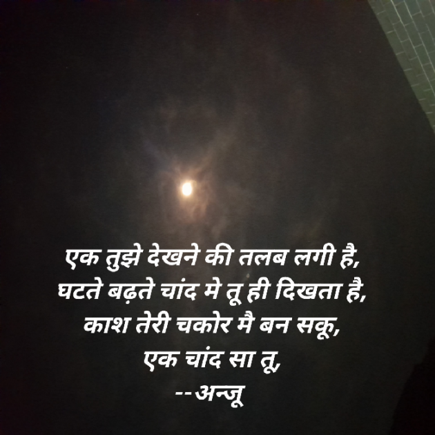 Hindi Shayri by Anju Kumari : 111910872