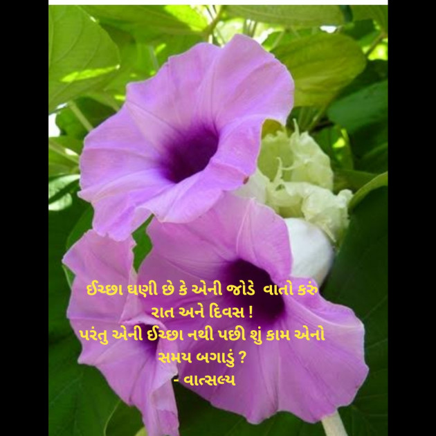 Gujarati Shayri by वात्सल्य : 111910951