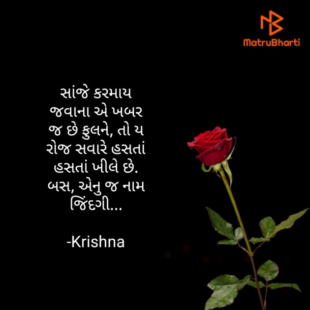 Gujarati Quotes by Krishna Rajput : 111911011