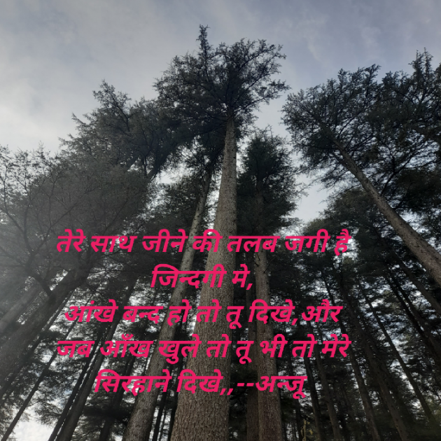 Hindi Shayri by Anju Kumari : 111911378