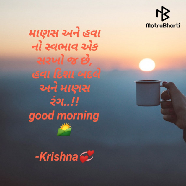 Gujarati Quotes by Krishna Rajput : 111911454