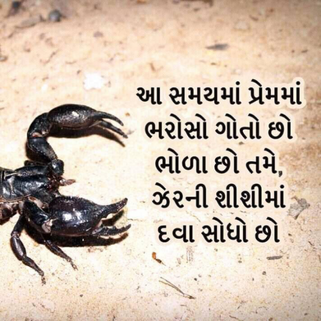 Gujarati Sorry by Navnit Solanki : 111911462