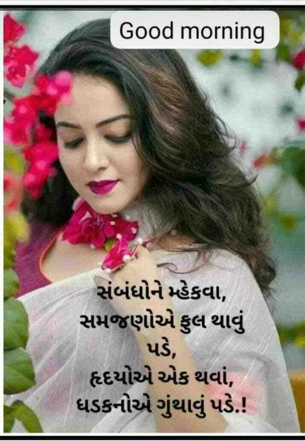 Gujarati Shayri by shah : 111912211