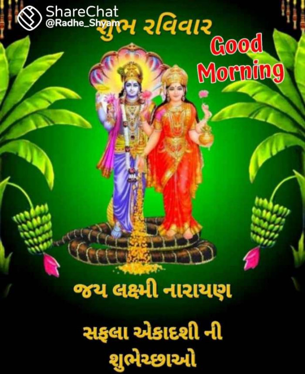 Gujarati Whatsapp-Status by Zala Jayvirsinh : 111912636