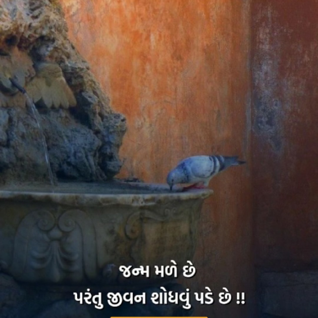 Gujarati Motivational by Roma Rawat : 111913280