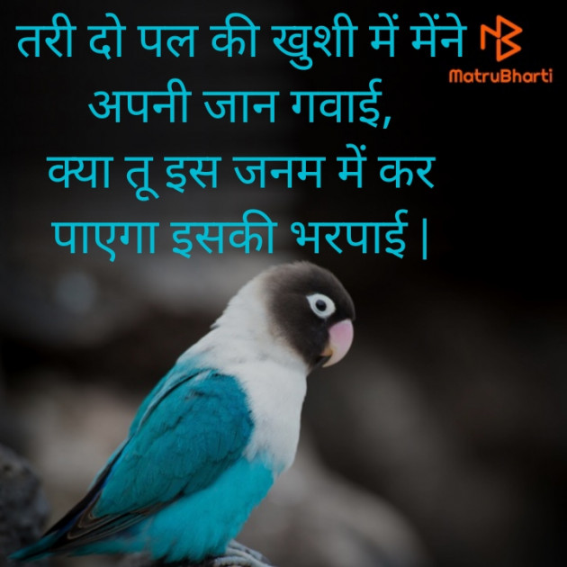 Hindi Motivational by Kishor Sagathiya : 111913748