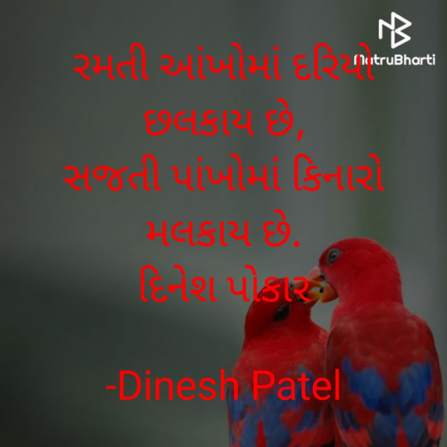 Gujarati Shayri by Dinesh Patel : 111914269