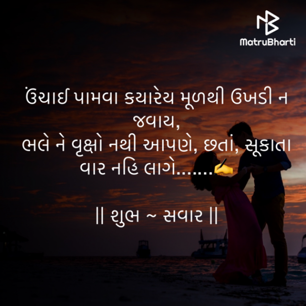 Gujarati Quotes by shah : 111914524