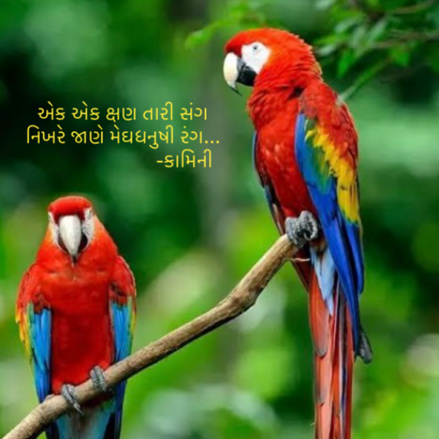 Gujarati Poem by Kamini Shah : 111914675