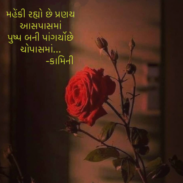 Gujarati Poem by Kamini Shah : 111915105